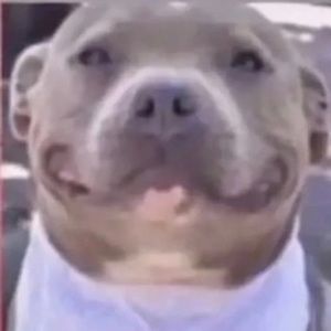 Meet your Posher, Adrian